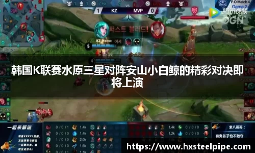 南宫体育